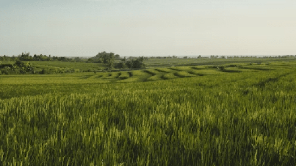 ΙΤΑΛΙΑ: Καταναλωτικές Τάσεις στον Ιταλικό Διατροφικό Τομέα – Επισκόπηση από το Παρατηρητήριο TUTTOFOOD & CIBUS – Circana Italy