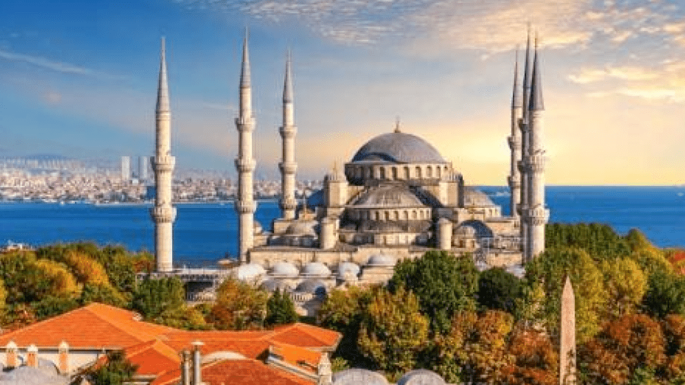 ΤΟΥΡΚΙΑ: Τρόφιμα με περιεκτικότητα σε Γενετικώς Τροποποιημένους Οργανισμούς-Αυστηροί τ/έλεγχοι κατά την εισαγωγή Ευρωπαϊκών προϊόντων στην Τουρκία