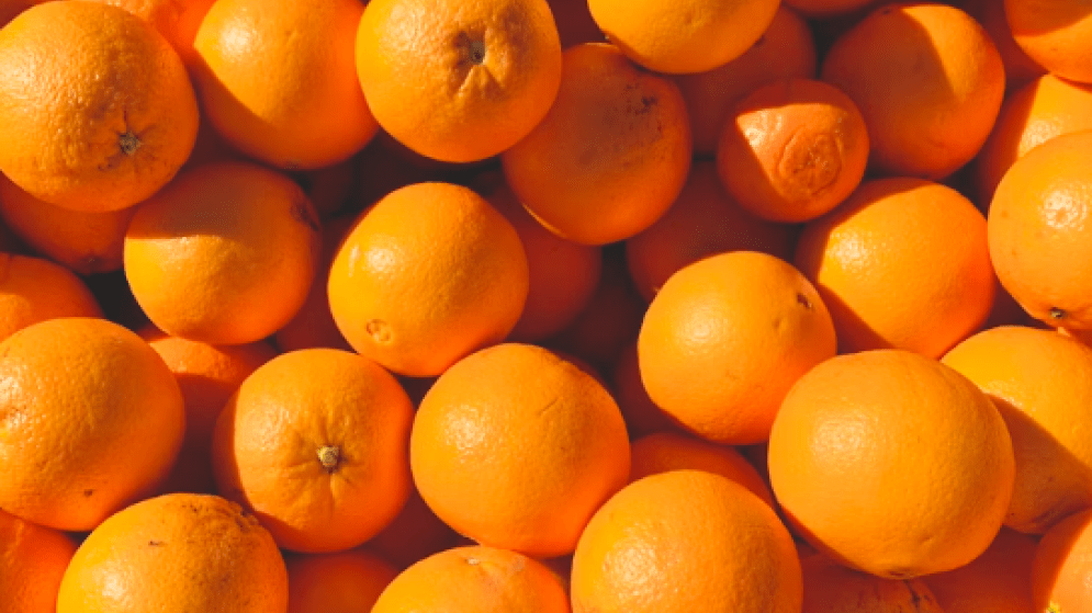 ΑΙΓΥΠΤΟΣ: Έναρξη εξαγωγών πορτοκαλιών στις 15 Δεκεμβρίου με ενισχυμένους ελέγχους ποιότητας μέσω του EU ZIRA3A