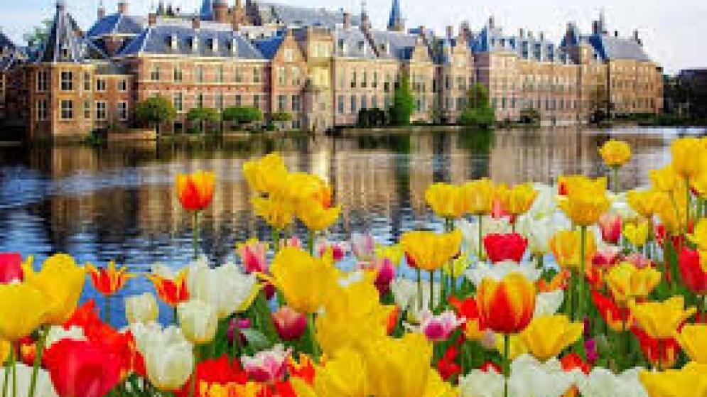 ΟΛΛΑΝΔΙΑ: Ενημερωτικό Δελτίο Οικονομικής & Επιχειρηματικής Επικαιρότητας Γραφείου ΟΕΥ Χάγης (Νοέμβριος 2025)