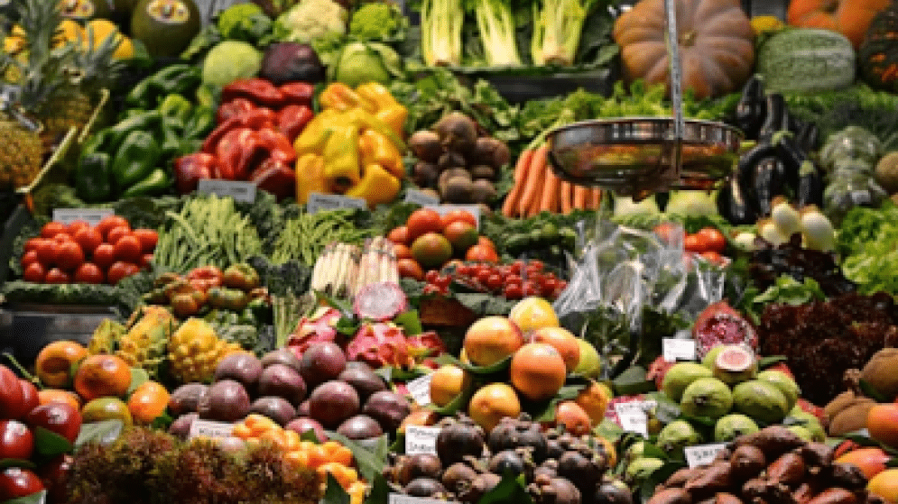 ΑΡΓΕΝΤΙΝΗ: Κορυφαίες μικρομεσαίες επιχειρήσεις φρούτων και λαχανικών κατακτούν τη διεθνή αγορά